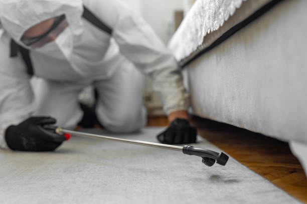 Professional Bed Bug Control technician working in Fredericktown, MO