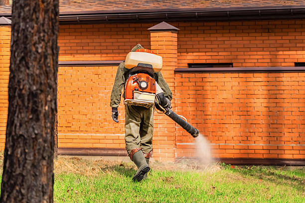 Top rated local Bed Bug Control specialists in Fredericktown, MO